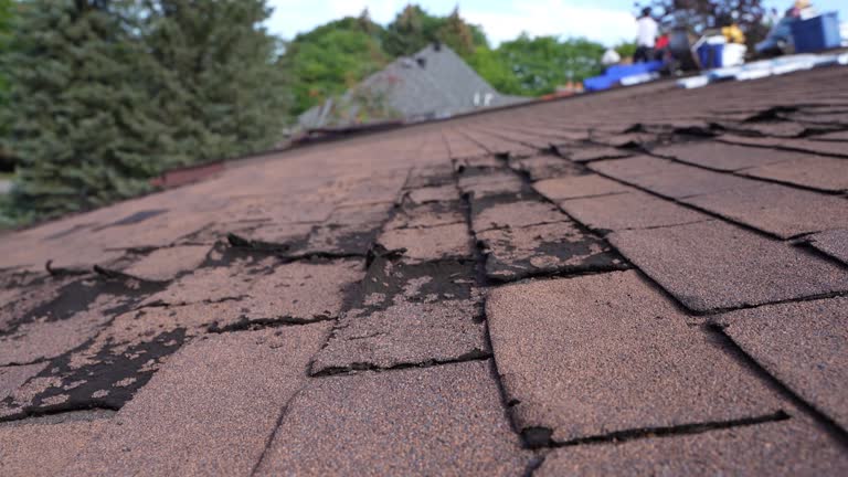 Fast & Reliable Emergency Roof Repairs in Mcgraw, NY