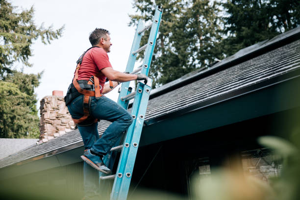 Gutter Replacement in Mcgraw, NY